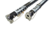 GA Extension TEAM Carbon