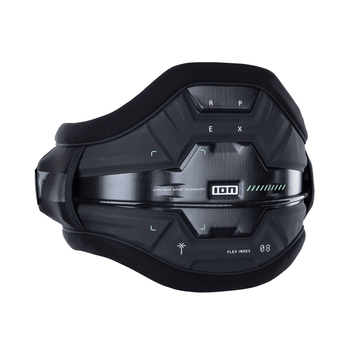 ION Apex 2026