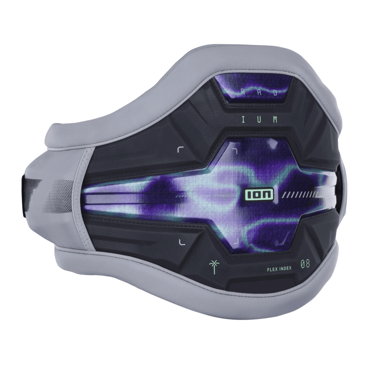 ION Radium 2026
