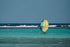 Duotone Ventis FS 2025-Duotone Foilwing-Surf-store.com