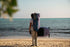 Duotone Ventis FS 2025-Duotone Foilwing-Surf-store.com