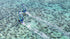 DUOTONE Duke HD 2024-Duotone Windsurfing-Surf-store.com