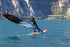 FANATIC Foilstyler LTD 2023-Windsurf board-Fanatic Windsurfing-Surf-store.com