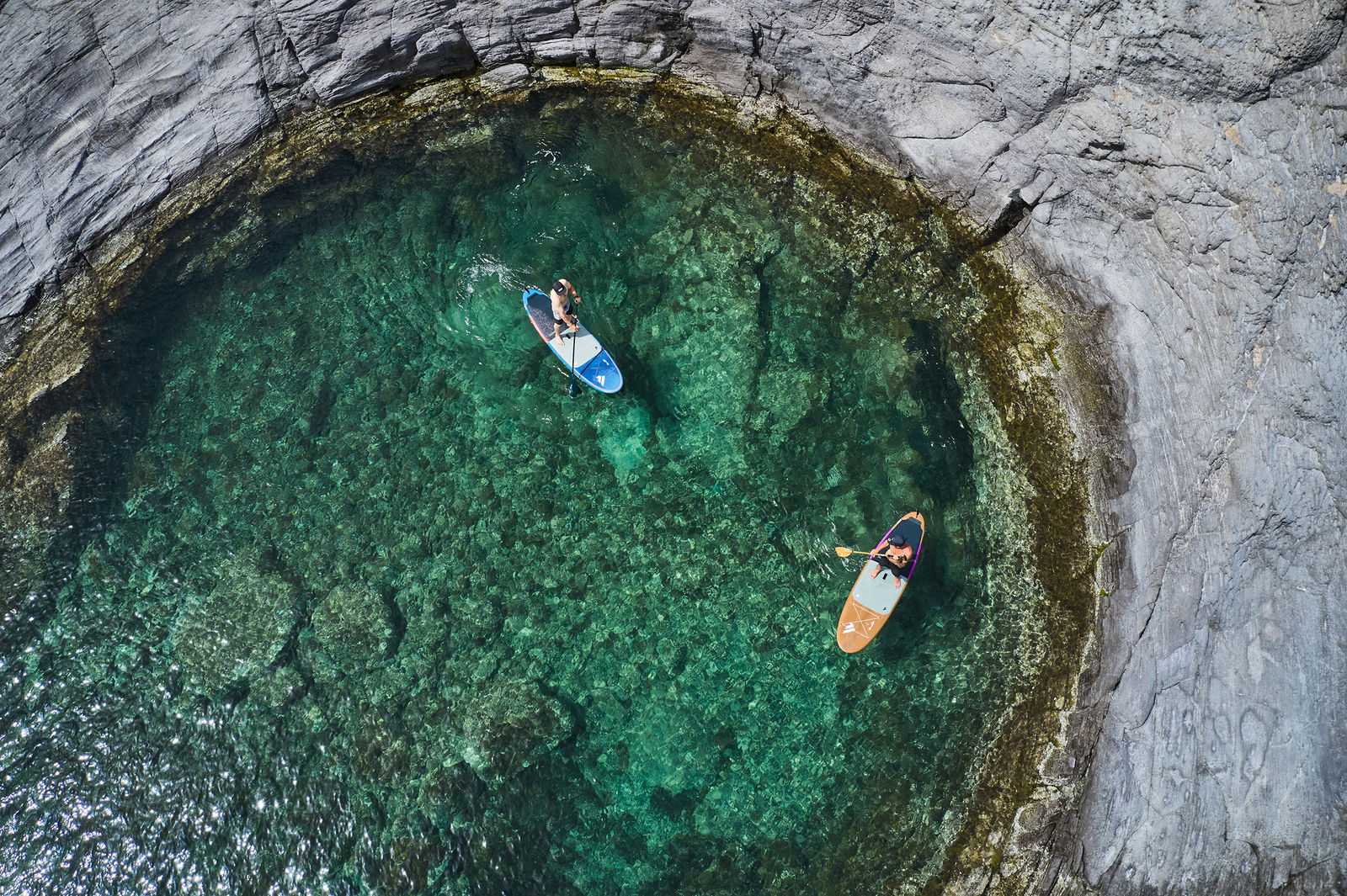 FANATIC Fly 2024-Fanatic SUP-Surf-store.com