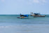 JP Downwind 2025-JP Australia-Surf-store.com