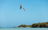 Duotone Jaime Concept Blue 2026-Kiteboard-Duotone Kiteboarding-Surf-store.com
