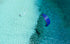 Duotone Rebel SLS 2026-Kites-Duotone Kiteboarding-Surf-store.com