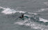 Duotone Whip D/LAB 2026-Kitesurf board-Duotone Kiteboarding-Surf-store.com