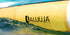 Cabrinha Cab Mantis APEX 2026
