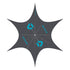 DUOTONE DT Tent Star 2024-Duotone Kiteboarding-OneSize-dark grey-44900-8526-9008415853793-Surf-store.com