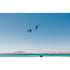 Duotone Rebel SLS 2024-Duotone Kiteboarding-6 m2-C03:royal-blue/mint-44240-3010-9010583196091-Surf-store.com